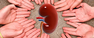 vorsz alapítványok Magyar Vesebetegekért Alapítvány, Vesevilág Alapítvány